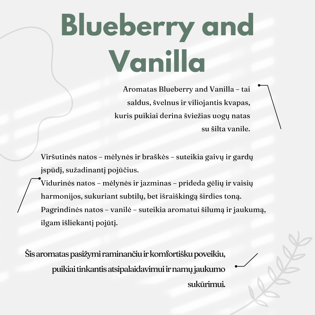 Namų kvapas Blueberry & Vanilla